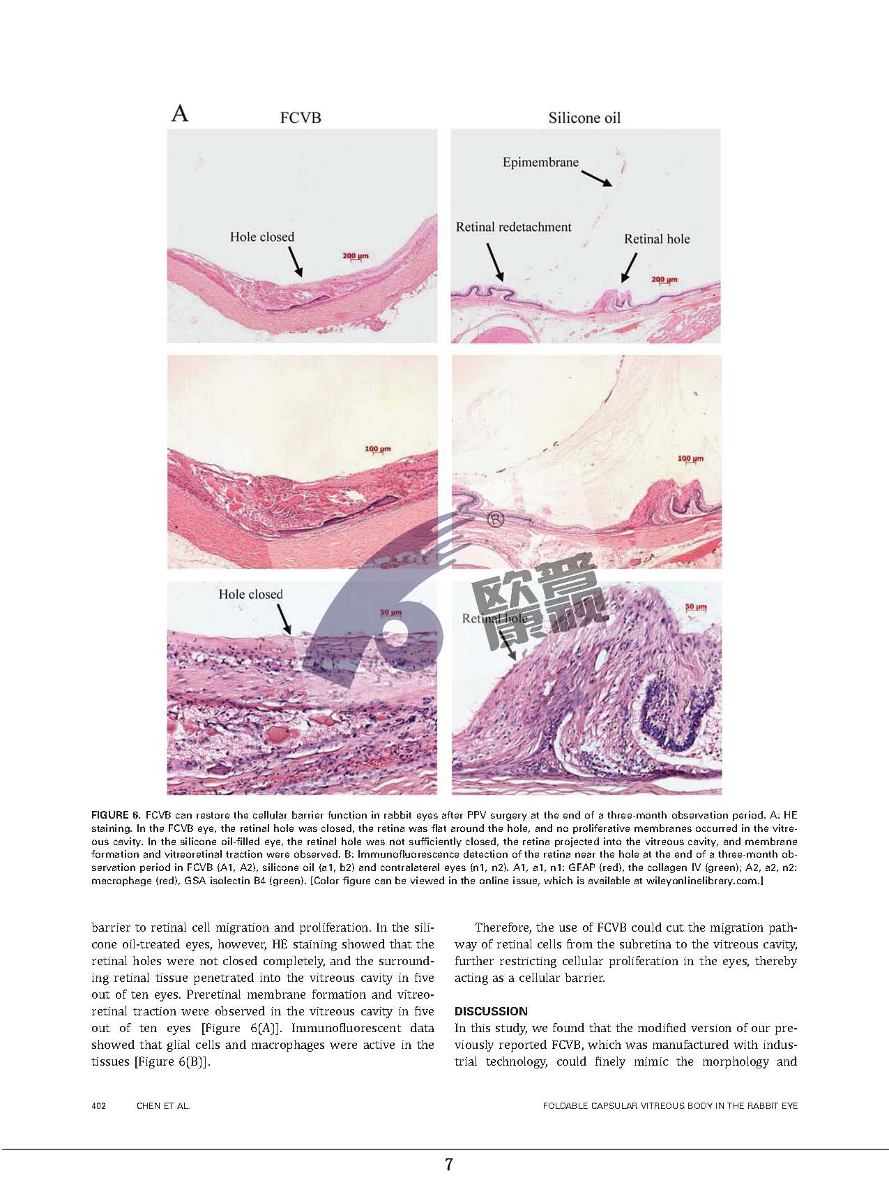 兴发xf(中国区)游戏有限公司