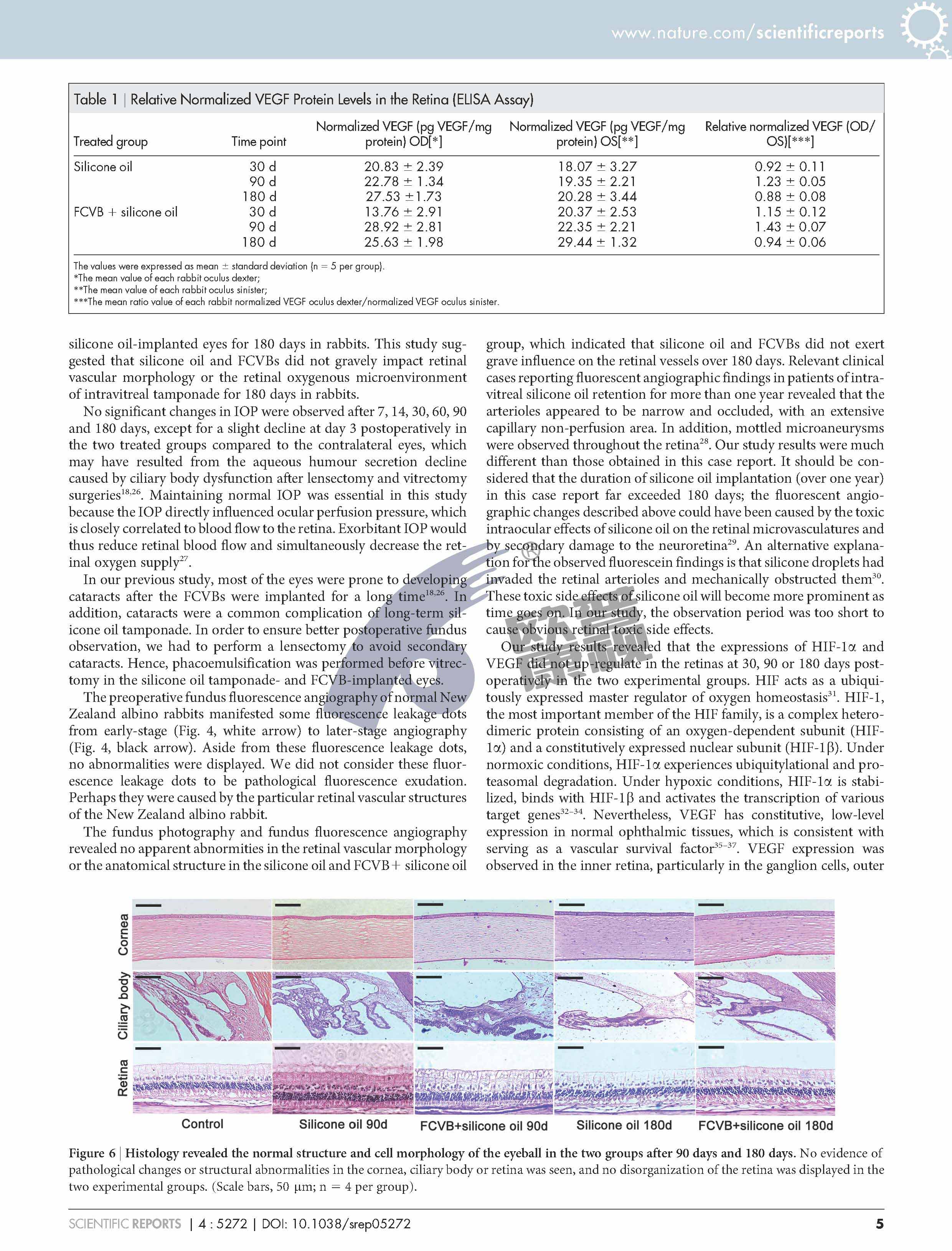 兴发xf(中国区)游戏有限公司