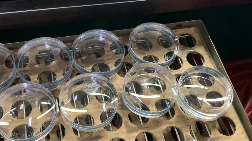 兴发xf(中国区)游戏有限公司