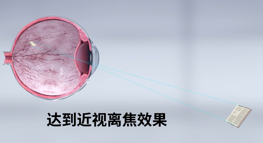 兴发xf(中国区)游戏有限公司